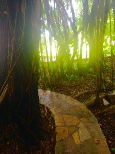 secret garden with path